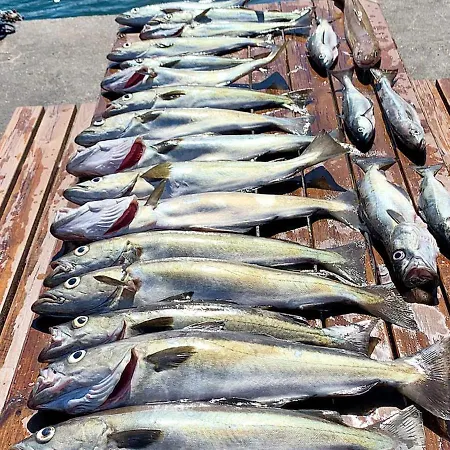 Seaside Fisherman S Haven-by Traum Tatil Evi Steinsbo