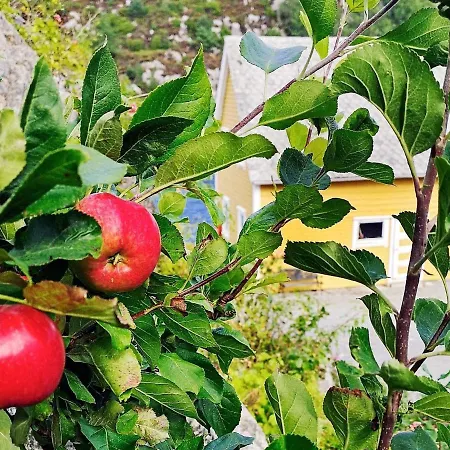 Seaside Fisherman S Haven-by Traum Feriehus
