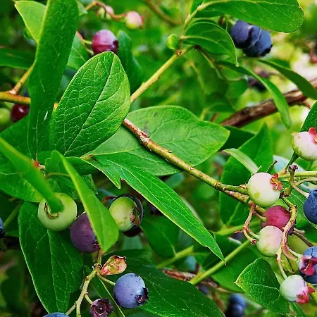 Feriehus Seaside Fisherman S Haven-by Traum