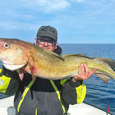 Feriehus Seaside Fisherman S Haven-by Traum Steinsbo