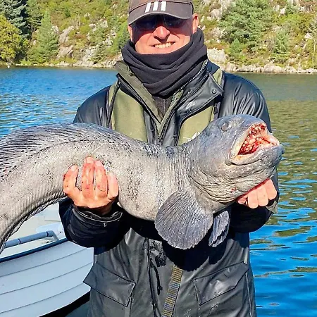 Feriehus Seaside Fisherman S Haven-by Traum Steinsbo