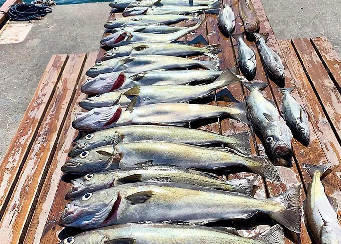 Seaside Fisherman S Haven-by Traum Dom wakacyjny Steinsbo