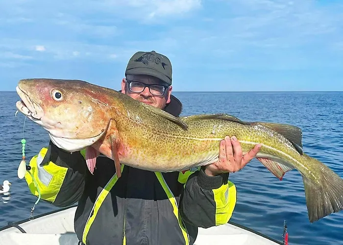 Dom wakacyjny Seaside Fisherman S Haven-by Traum Steinsbo
